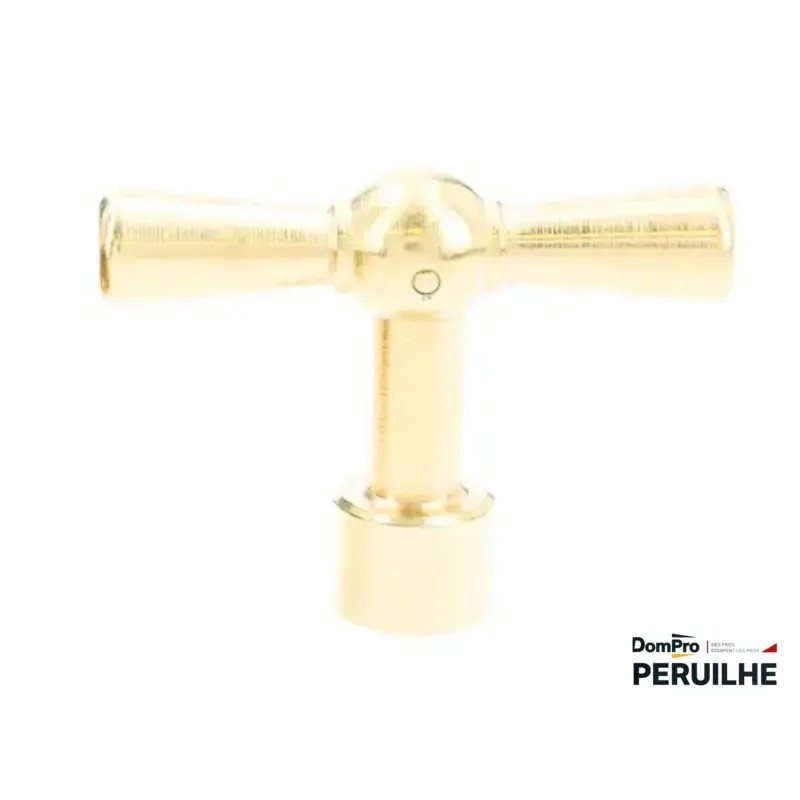 Clé tête cache entrée carré 6 mm | Peruilhe