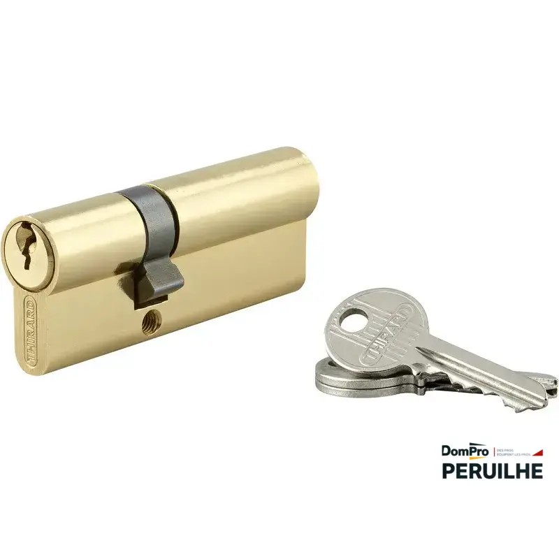 Cylindre serrure 30x50 laiton | Peruilhe