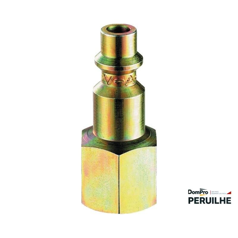 Embout 6 F 3/8 BSP | Peruilhe