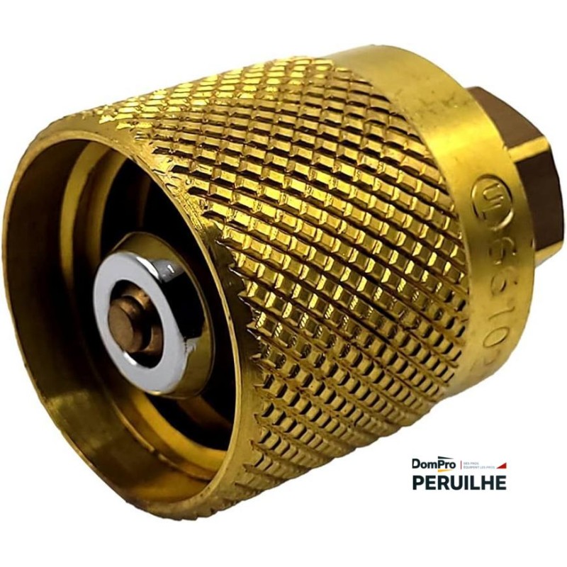 Perceuse-visseuse sans fil 18V 50Nm | Peruilhe