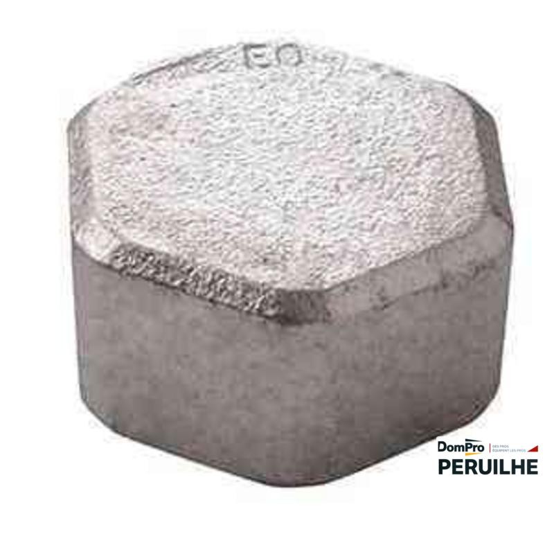 Bouchon galva N300 F 08x13 | Peruilhe