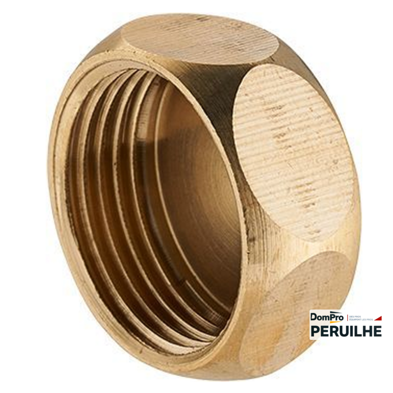 Bouchon laiton à visser F1/2 (15/21) | Peruilhe