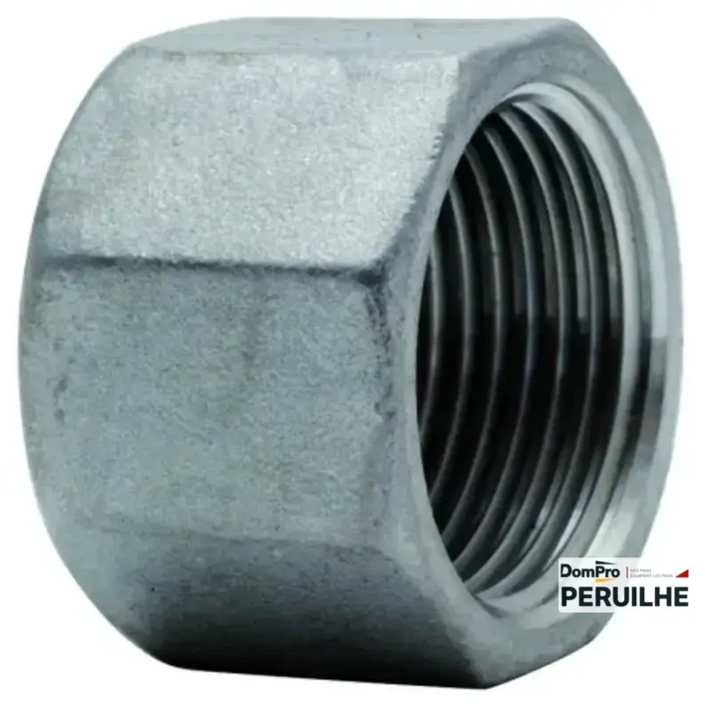 Bouchon Inox 316 mâle 1/4" BSPT | Peruilhe