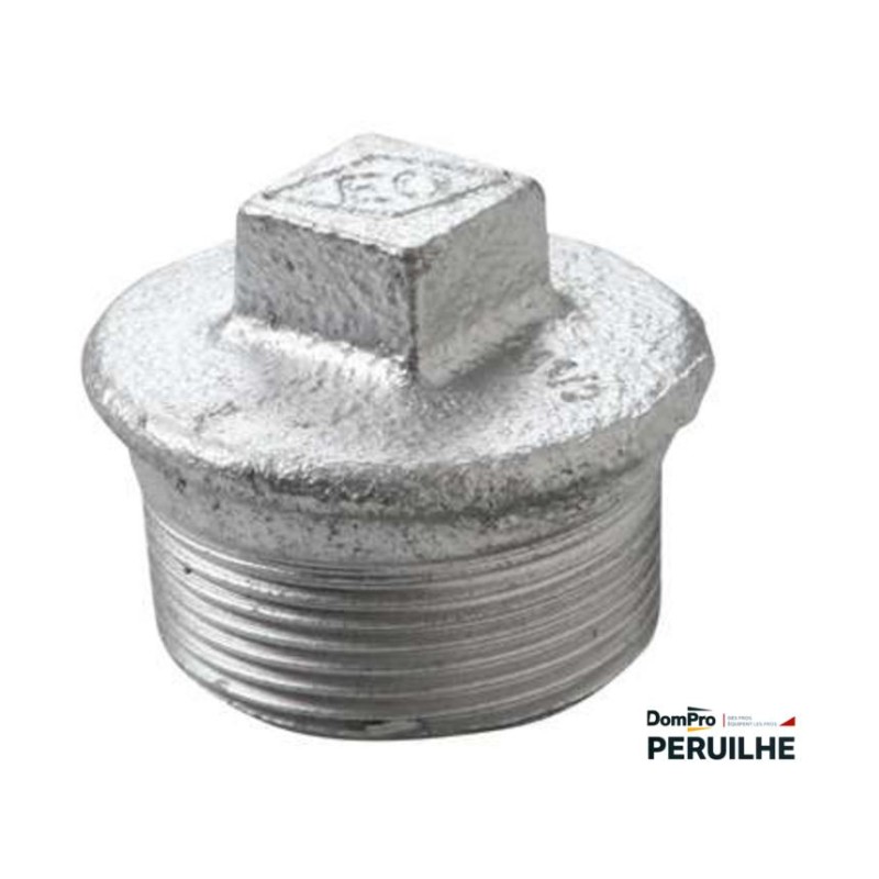 Bouchon fonte malléable galvanisé M12x17 | Peruilhe