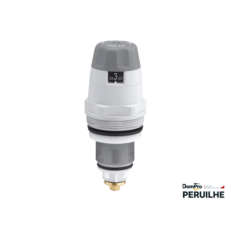 Cartouche de rechange pour réducteur R535 Peruilhe