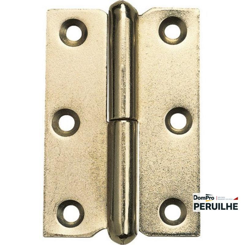 Charnière à dégonder à nœud roulé 30x50 mm Peruilhe