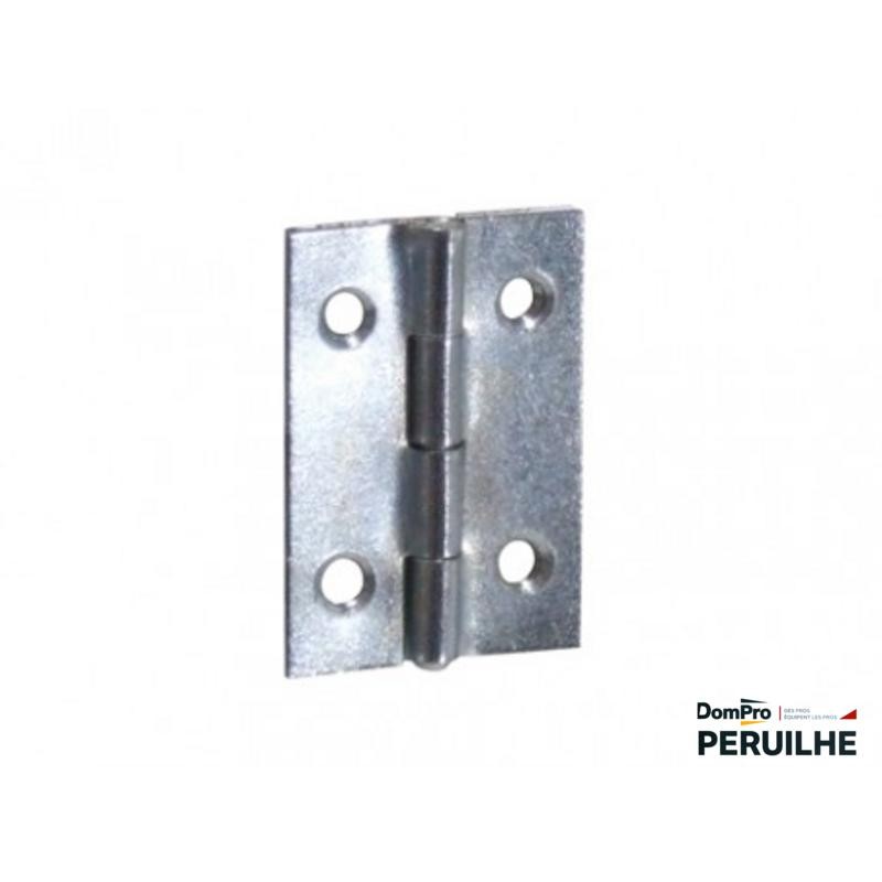 Charnière rectangulaire acier zingué 40x25 mm | Peruilhe